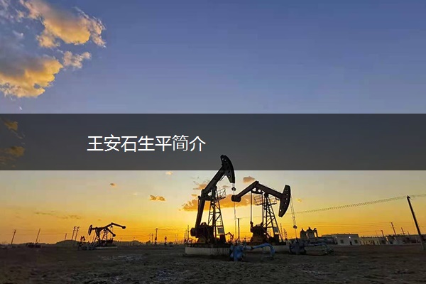 王安石生平简介