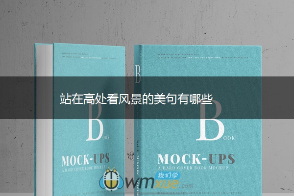 站在高处看风景的美句有哪些