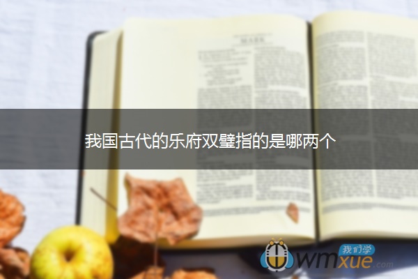 我国古代的乐府双璧指的是哪两个