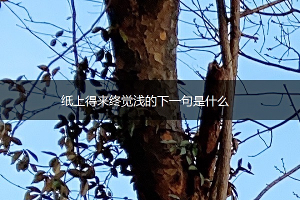 纸上得来终觉浅的下一句是什么
