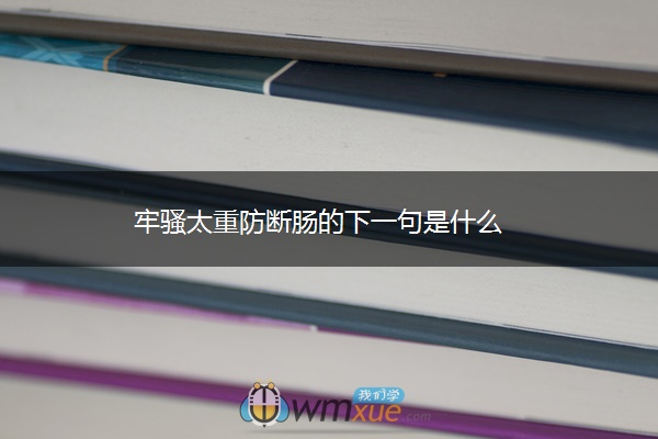 牢骚太重防断肠的下一句是什么