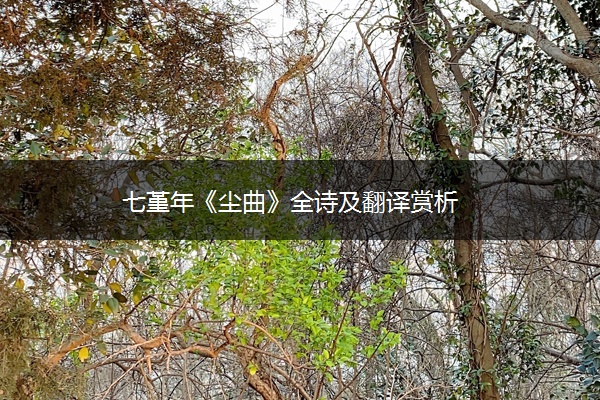 七堇年《尘曲》全诗及翻译赏析