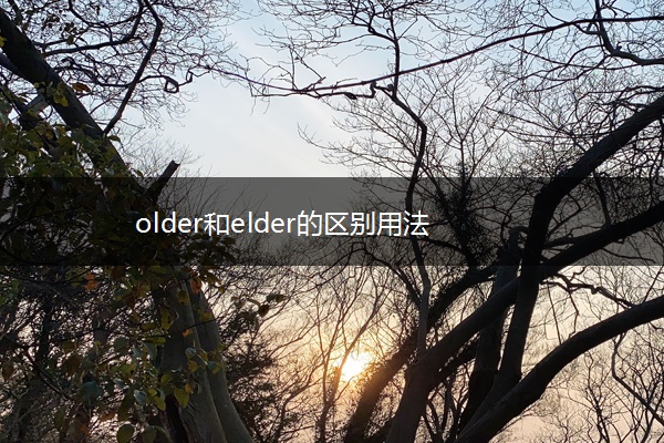 older和elder的区别用法