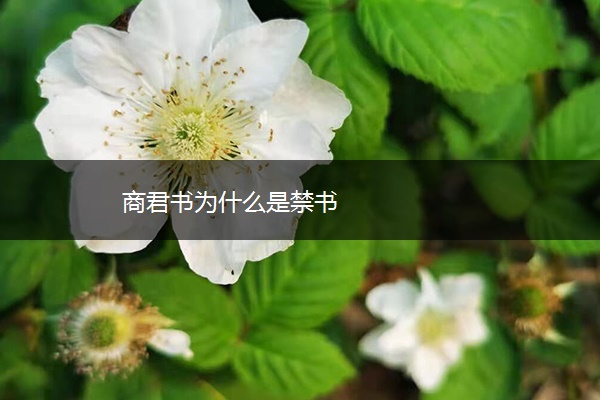 商君书为什么是禁书