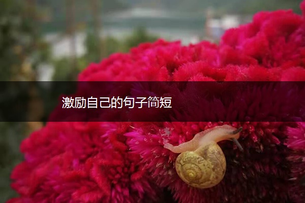 激励自己的句子简短