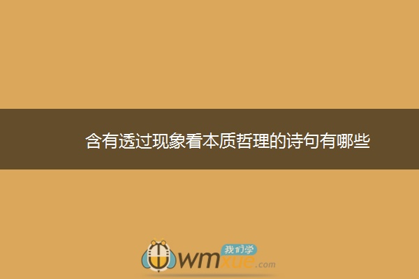 含有透过现象看本质哲理的诗句有哪些
