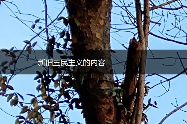 新旧三民主义的内容