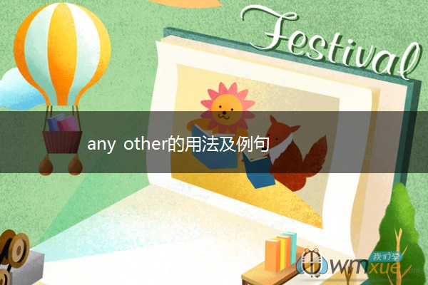 any other的用法及例句