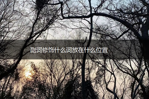 副词修饰什么词放在什么位置
