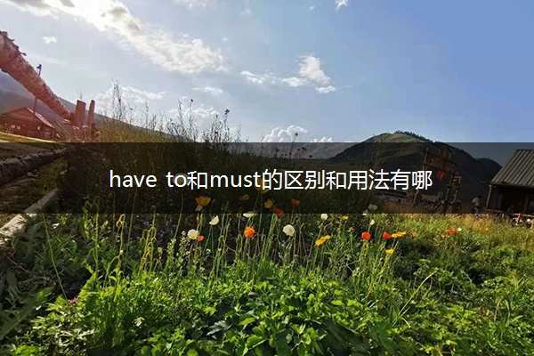 have to和must的区别和用法有哪些