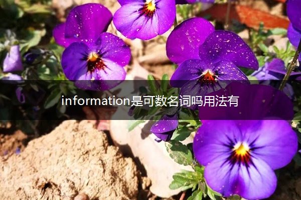information是可数名词吗用法有哪些