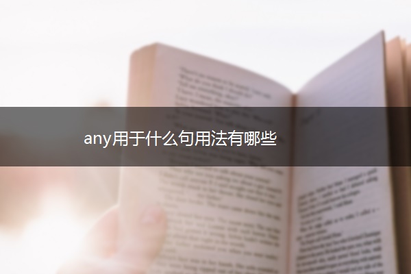 any用于什么句用法有哪些