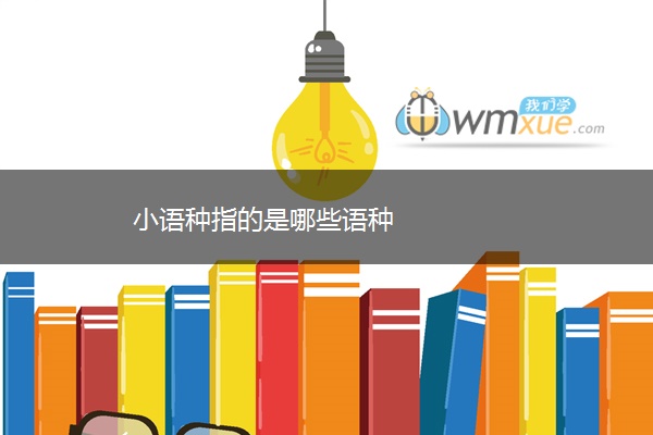 小语种指的是哪些语种