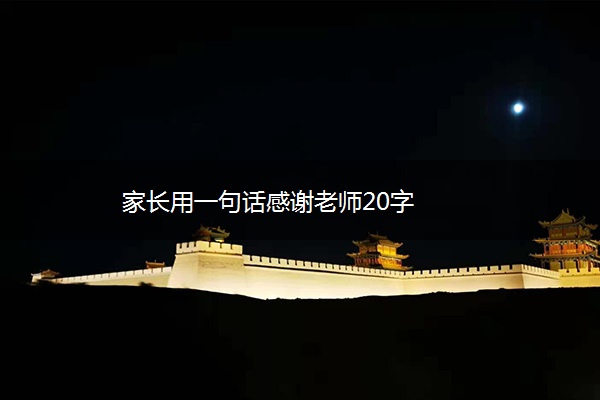 家长用一句话感谢老师20字
