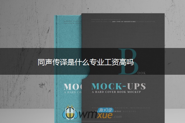 同声传译是什么专业工资高吗