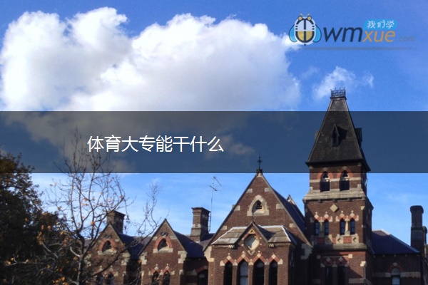 体育大专能干什么