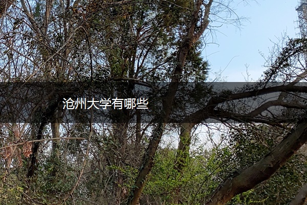 沧州大学有哪些