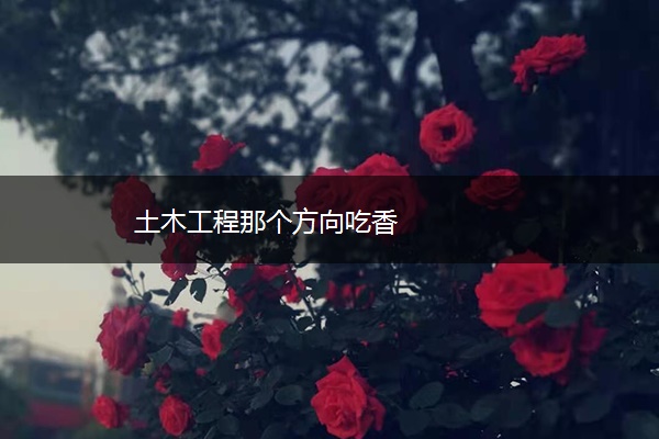 土木工程那个方向吃香
