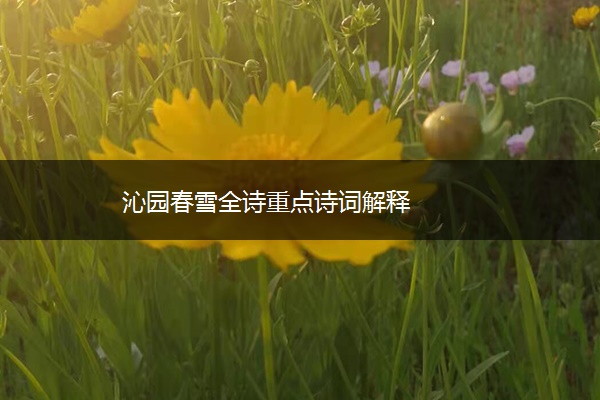 沁园春雪全诗重点诗词解释