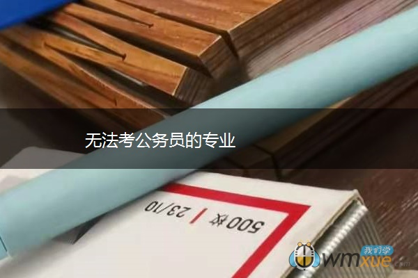 无法考公务员的专业