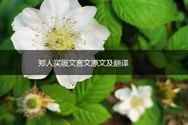 郑人买履文言文原文及翻译