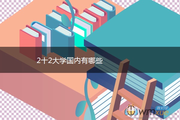 2十2大学国内有哪些