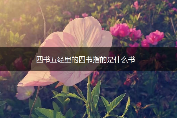 四书五经里的四书指的是什么书