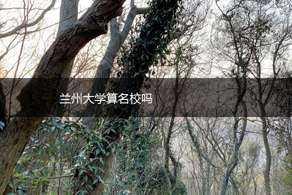 兰州大学算名校吗