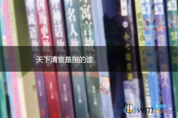 天下清官是指的谁