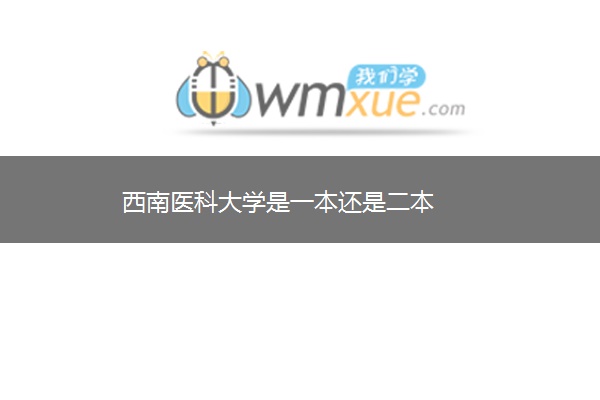 西南医科大学是一本还是二本