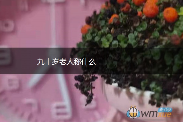 九十岁老人称什么