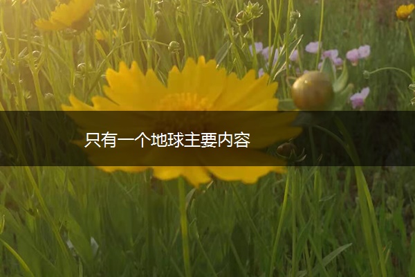 只有一个地球主要内容