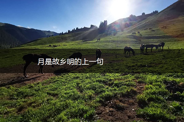月是故乡明的上一句