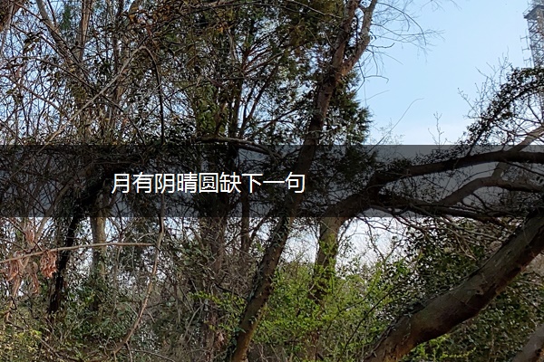 月有阴晴圆缺下一句