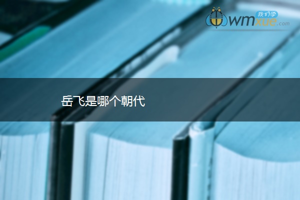 岳飞是哪个朝代