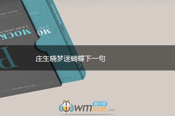 庄生晓梦迷蝴蝶下一句