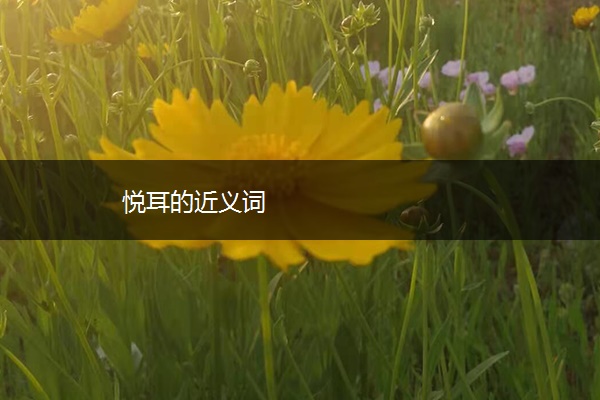 悦耳的近义词