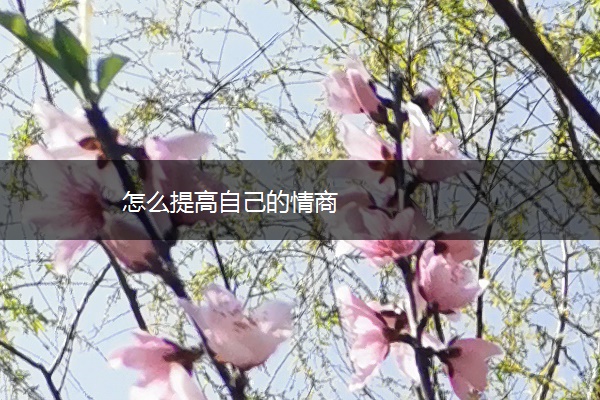 怎么提高自己的情商