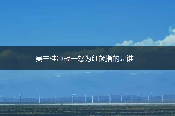 吴三桂冲冠一怒为红颜指的是谁