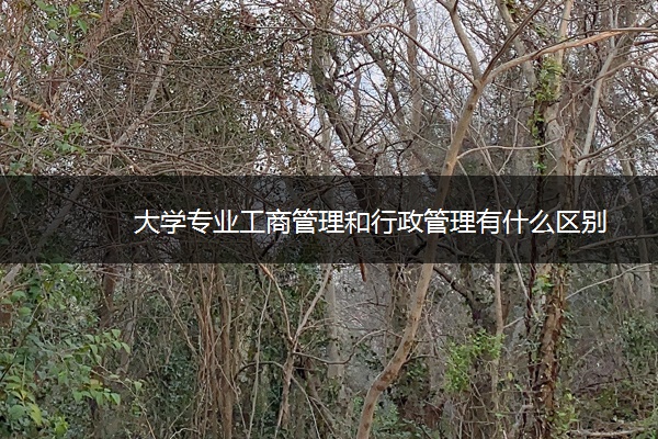 大学专业工商管理和行政管理有什么区别