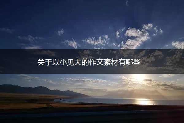 关于以小见大的作文素材有哪些