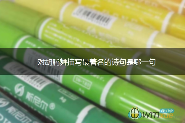 对胡腾舞描写最著名的诗句是哪一句