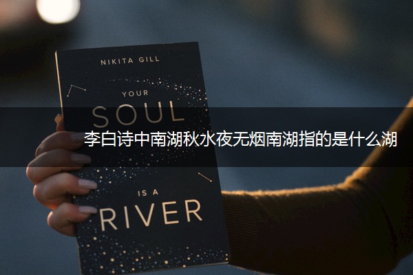 李白诗中南湖秋水夜无烟南湖指的是什么湖