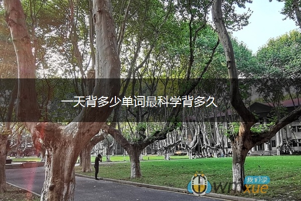 一天背多少单词最科学背多久