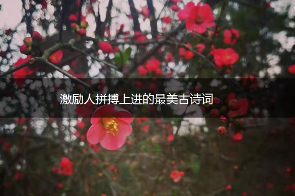 激励人拼搏上进的最美古诗词