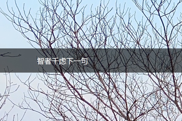 智者千虑下一句