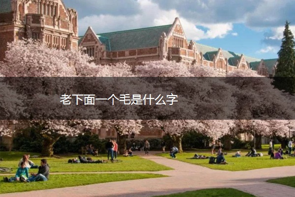 老下面一个毛是什么字