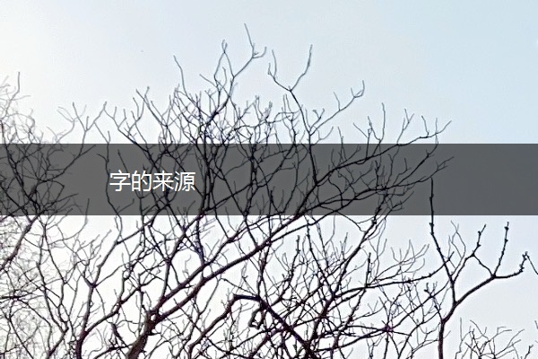 字的来源