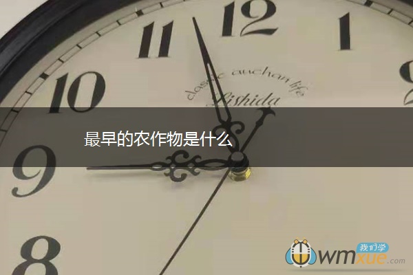 最早的农作物是什么