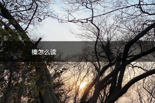 榛怎么读